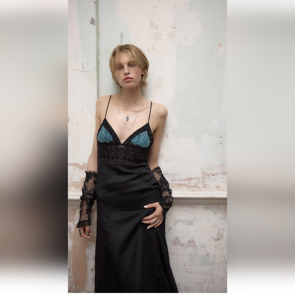 BNWT! Zara Embroidered beaded dress